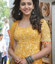 rakul-preet-singh-photos-at-pandaga-chesuko-movie-launch-30