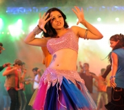 reshma-item-song-hot-photos-1259