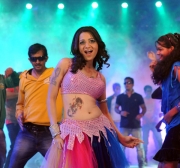 reshma-item-song-hot-photos-1281
