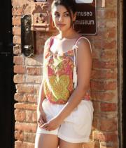 richa-gangopadhyay-latest-hot-stills-19