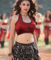 richa-gangopadhyay-navel-show-in-mirchi-03
