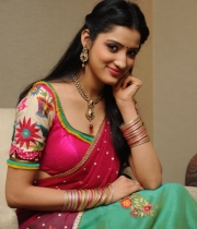 richa-panai-new-photo-stills-45
