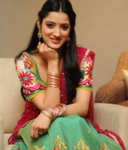richa-panai-new-photo-stills-54