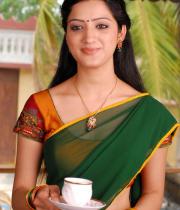richa-panai-hot-half-saree-photos-02