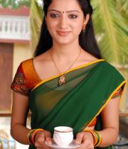 richa-panai-hot-half-saree-photos-03