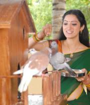 richa-panai-hot-half-saree-photos-06