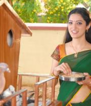 richa-panai-hot-half-saree-photos-08