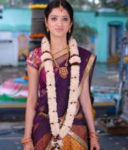 richa-panai-hot-half-saree-photos-14
