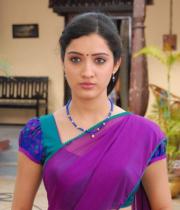 richa-panai-hot-half-saree-photos-17