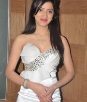 richa-panai-hot-images-14