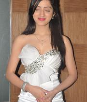 richa-panai-hot-images-15