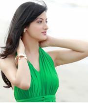 richa-panai-latest-photoshoot-photos-1223