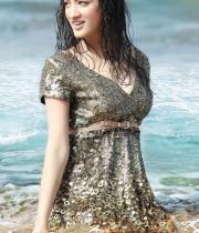 richa-panai-latest-photoshoot-photos-1255