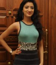 richa-panai-photos-at-mahesh-audio-launch-12