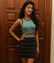 richa-panai-photos-at-mahesh-audio-launch-13