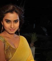 romance-fame-dimple-hot-saree-pics-10