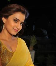 romance-fame-dimple-hot-saree-pics-1_0