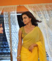 romance-fame-dimple-hot-saree-pics-3