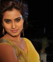 romance-fame-dimple-hot-saree-pics-9_0