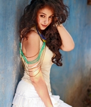 Telugu Actress Saba Saudagar Hot Portfolio Gallery