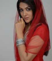 sakshi-choudhary-hot-pics-5