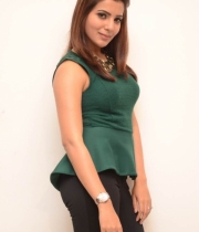 samantha-press-meet-stills31381570477