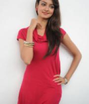 shanvi-photos-at-adda-press-meet-14