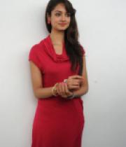 shanvi-photos-at-adda-press-meet-17