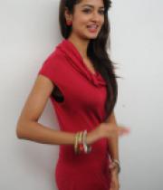 shanvi-photos-at-adda-press-meet-18