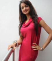 shanvi-photos-at-adda-press-meet-27