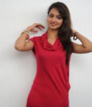 shanvi-photos-at-adda-press-meet-8