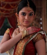 sheena-shahabad-hot-stills-in-saree-2