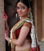 sheena-shahabad-hot-stills-in-saree-4