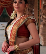 sheena-shahabad-hot-stills-in-saree-6