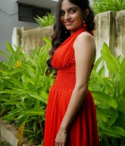 sheena-shahabadi-latest-cute-photos-2-687x1024