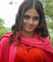 sheena-shahabadi-latest-cute-photos-3-687x1024