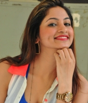 shilphi-sharma-new-hot-photos-8