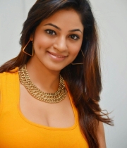 shilpi-sharma-latest-hot-photos-06