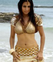 shraddha-arya-latest-hot-photos-10