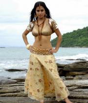 shraddha-arya-latest-hot-photos-20