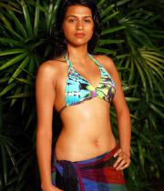 shraddha-das-hot-bikini-pics-04