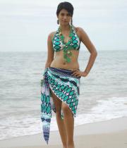 shraddha-das-hot-bikini-pics-04
