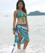 shraddha-das-hot-bikini-pics-07