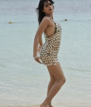 shraddha-das-hot-photo-collections-21