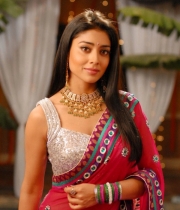 Shriya Saran Latest Saree Hot Stills