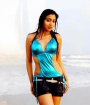 shriya-saran-hot-photos-18