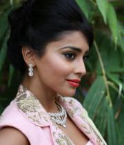 shriya-latest-stills7