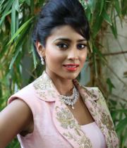 shriya-latest-stills9