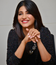 shruti-haasan-new-photo-stills-at-race-gurram-success-meet-10_0
