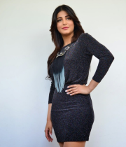 shruti-haasan-new-photo-stills-at-race-gurram-success-meet-12